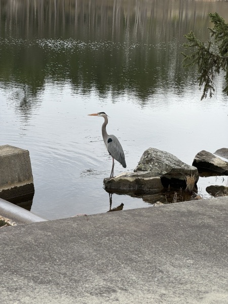 Come and tell me your dull and unexciting news 29: Calmly through the day