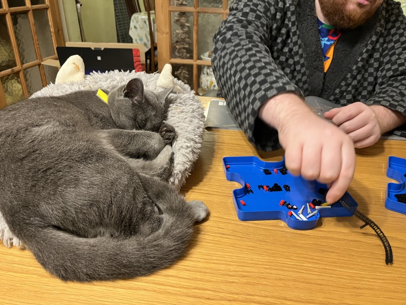 Machiavellian Misbehaviour- the Excellent Cats Deny Everything