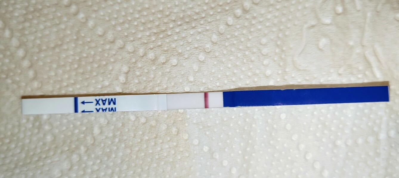 11 dpo am I out?