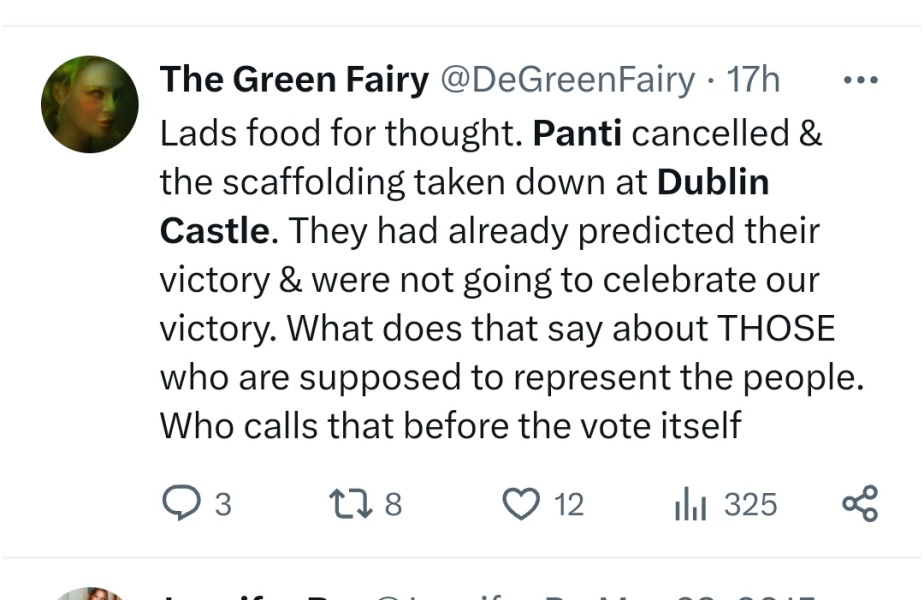 Gender Critical in Ireland Part 3