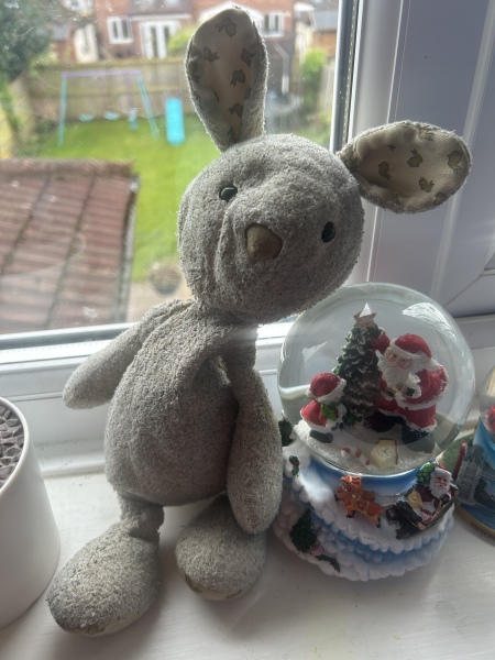 Please help - do you have a photo of a well-loved Jellycat bunny?