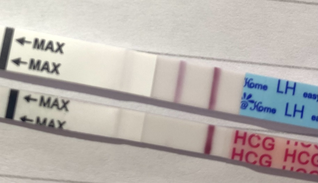 Anyone else TTC #1? Just looking for TTC buddies!