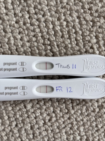 TWW... starting now!