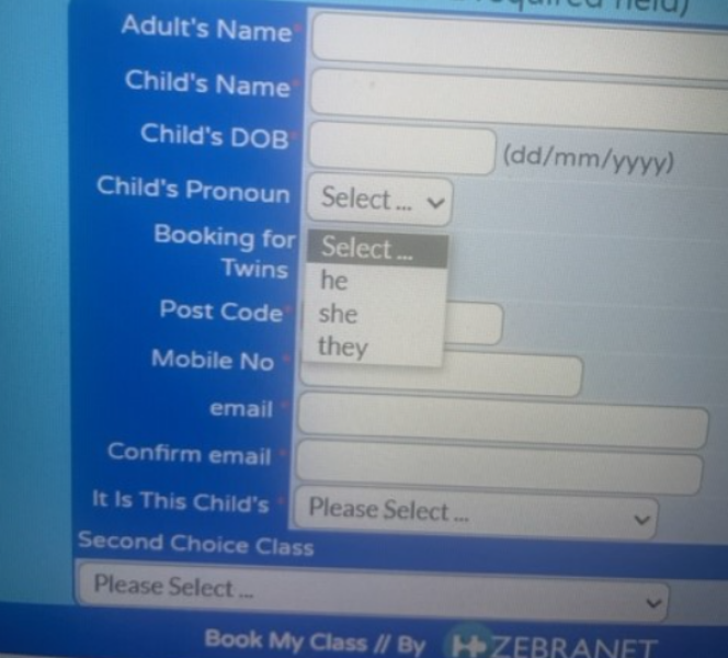More pronouns gone mad