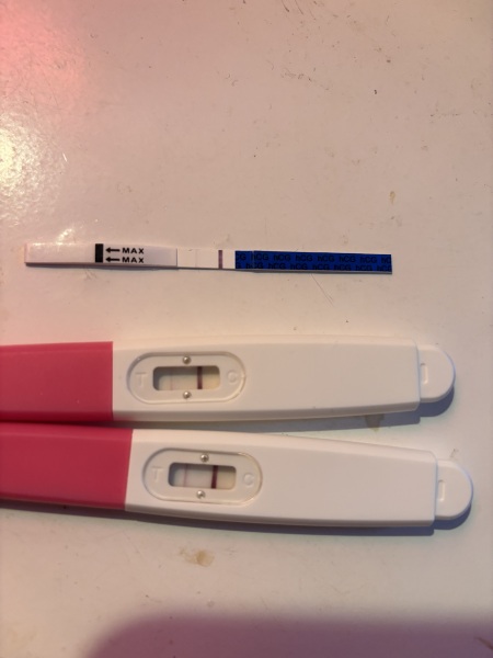 Clearblue digi (not preg) 7x other test faint lines? 2 days after missed period?