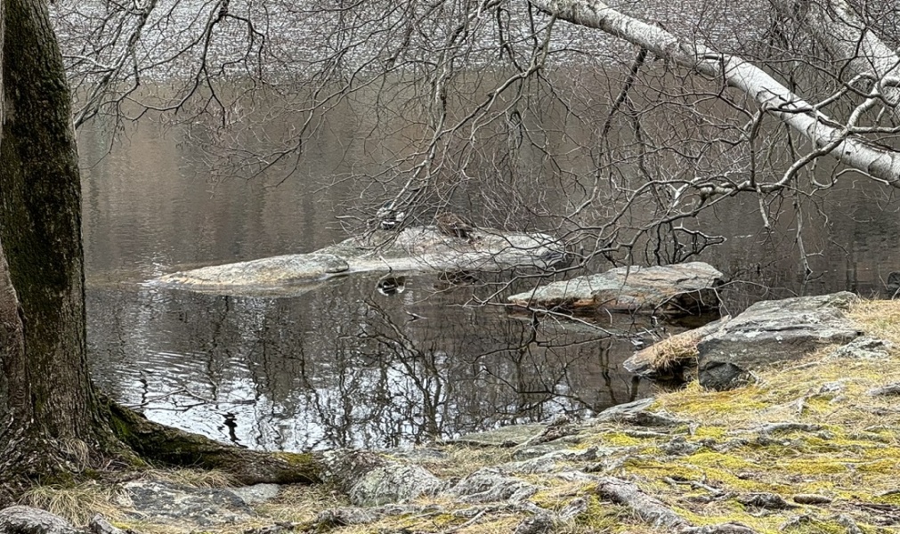 Come and tell me your dull and unexciting news 29: Calmly through the day