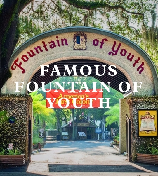 St WAGtrick’s Word Association Game