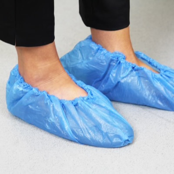To hate MIL wearing shoes in my house?!