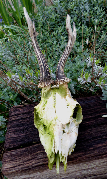 Thread 12 - TalkLair: “I say we take off and nuke the entire site from orbit. It's the only way to be sure.”