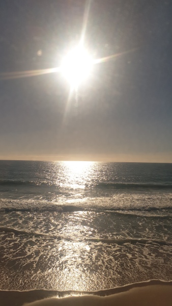 California: SO much to do, how do you pick