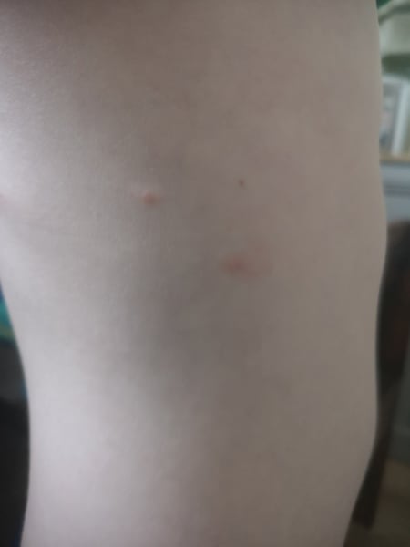 Anyone know what these are?