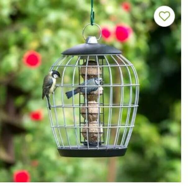 Birds won’t use squirrel proof feeder
