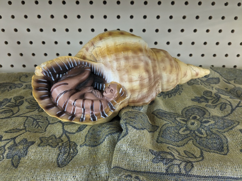 Weirdest shit in my local thrift store