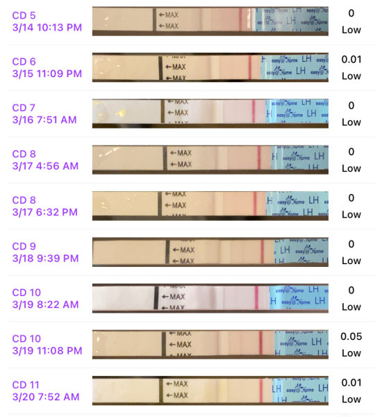 TTC April 2024…Christmas Babies! ❤️✨