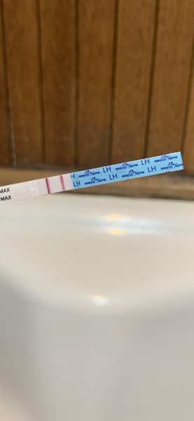 TTC April 2024…Christmas Babies! ❤️✨