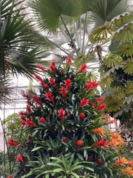 Come and tell me your dull and unexciting news 29: Calmly through the day