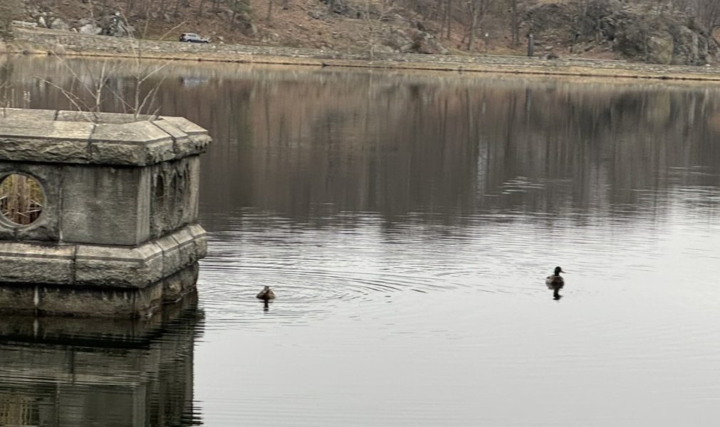 Come and tell me your dull and unexciting news 29: Calmly through the day