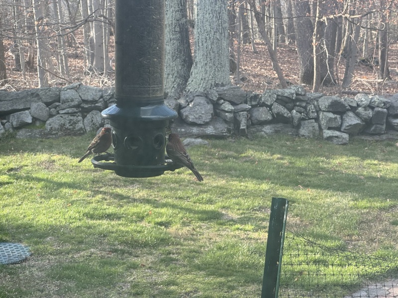 Come and tell me your dull and unexciting news 29: Calmly through the day