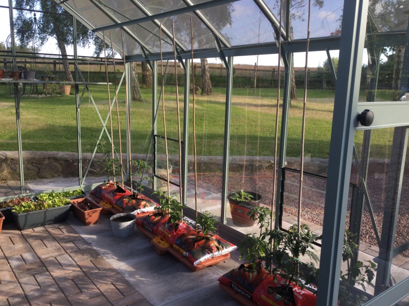 The Vegetable Patch Mark 2