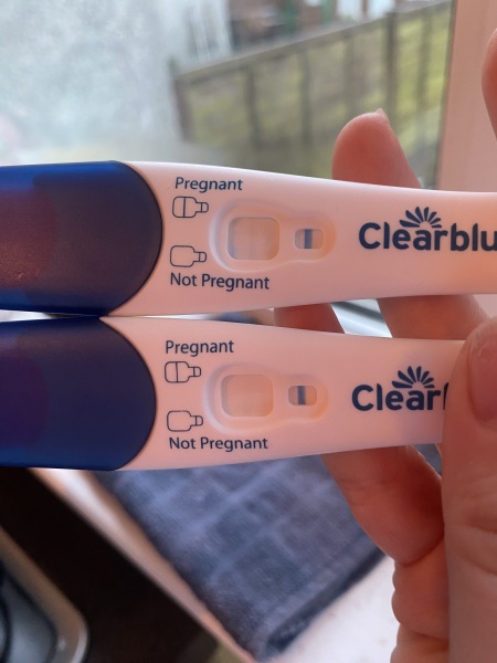 Clear blue test. Evap line or positive