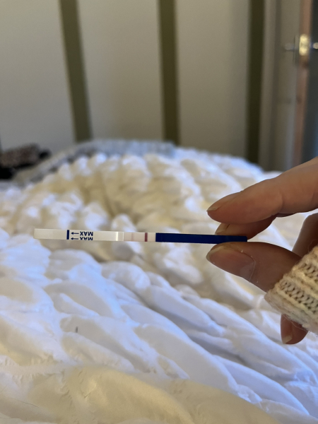 Dec-Christmas Babys 2024