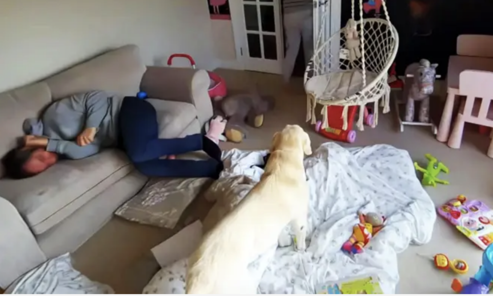 My Wife The Abuser: The Secret Footage