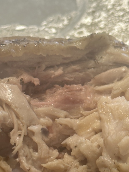 Help!! I’ve eaten raw chicken and am terrified it will harm my pregnancy!