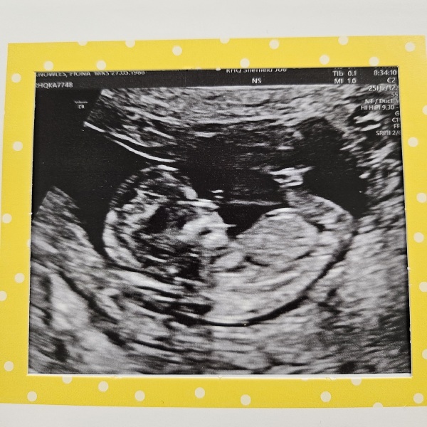 Due September 4.5 🐣♥️🧡💜