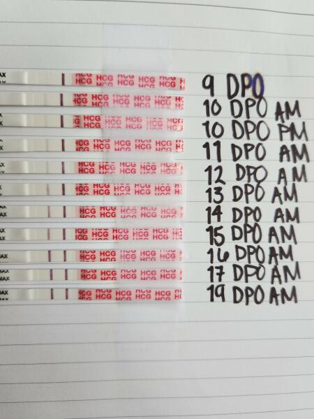 Dec-Christmas Babys 2024