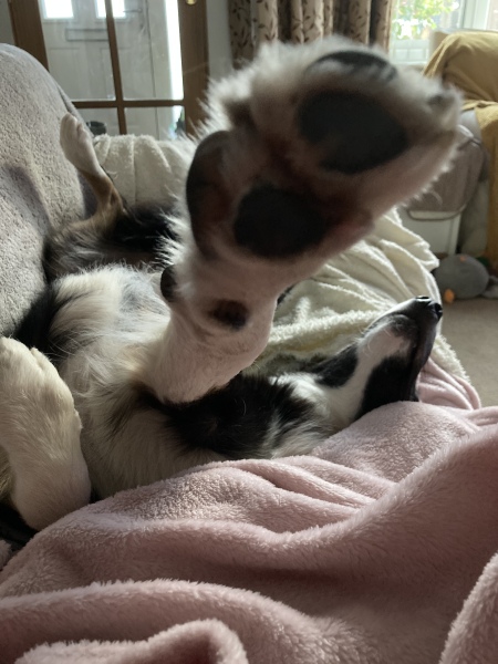 Cancer Support Thread 93 - The Thread for the Dread and the Not Yet Dead? Everything you need to know about Cancer but didn’t want to know