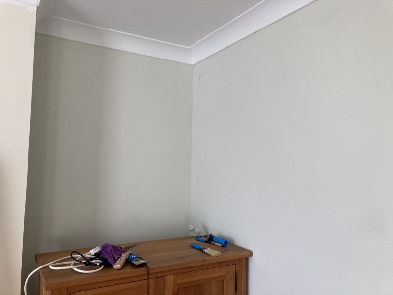 Sage green, not a dark one. Any recommendations?