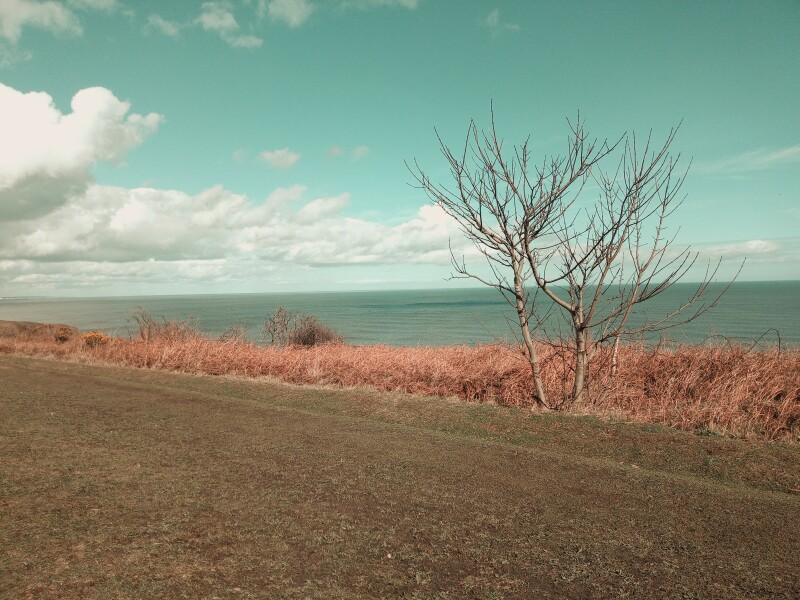 Come chat hiking with me!