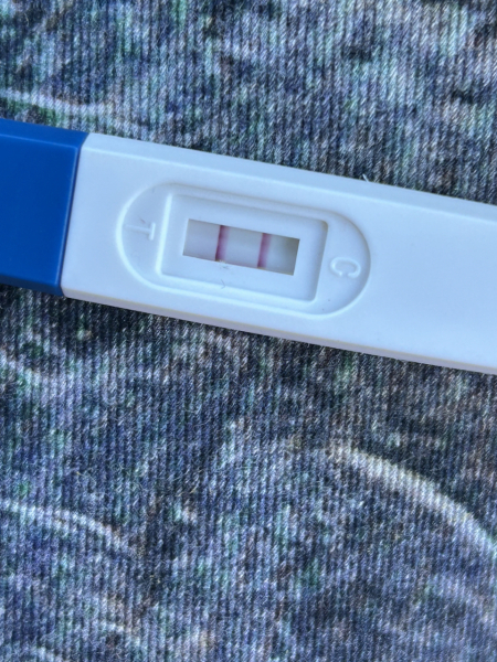 Clear blue evap line