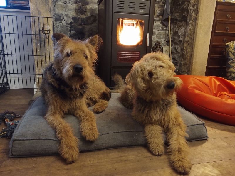 Stage 4 cancer... ? incurable? Thread #2 is here.  In memory of our inspiring, lovely mowly77