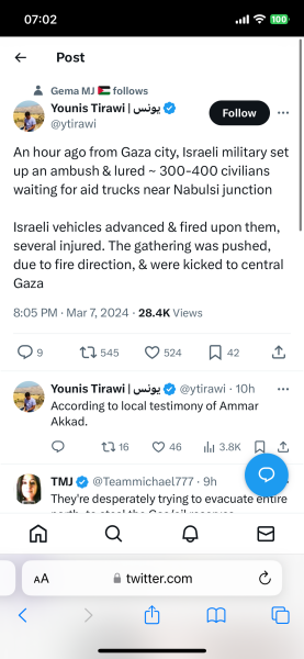 IDF statement on Aid Convoy Stampede
