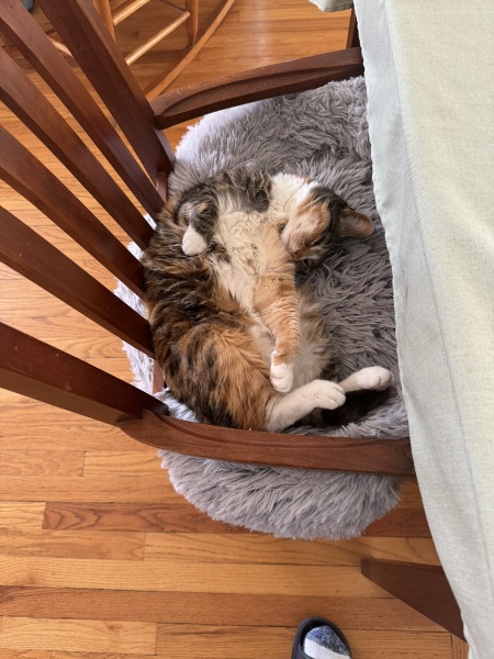 Come and tell me your dull and unexciting news 29: Calmly through the day