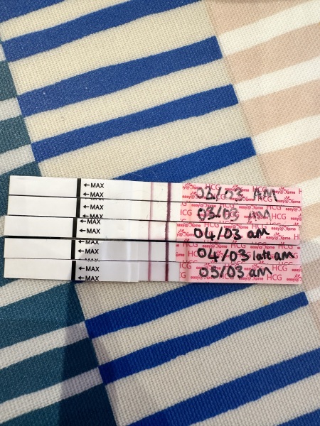 HELP! Bleeding in Early Pregnancy - 4 weeks and I’m freaking out 😥