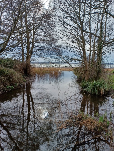 Come chat hiking with me!