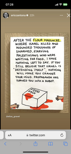 IDF statement on Aid Convoy Stampede