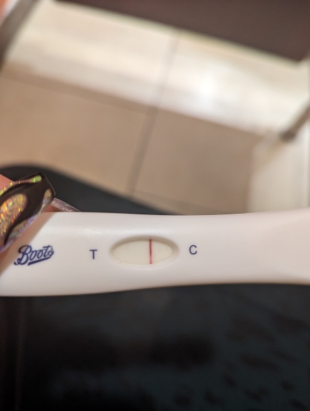 Am I pregnant or have I gotten ahead of myself here?