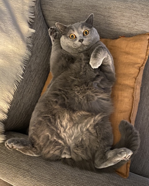 Thread 12 - TalkLair: “I say we take off and nuke the entire site from orbit. It's the only way to be sure.”