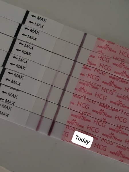 Dec-Christmas Babys 2024