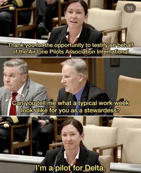 Republican senator calls female pilot 'stewardess'