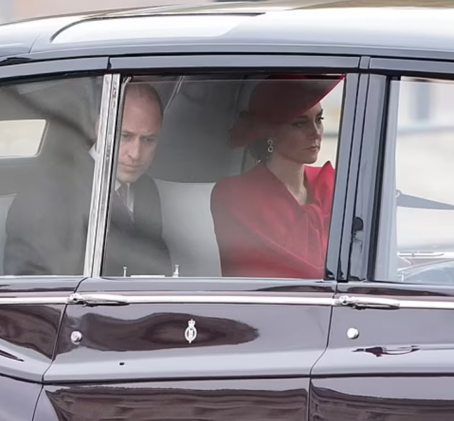 Finding all the Princess of Wales conspiracy theories so odd. Am I in as much of a minority as it seems?