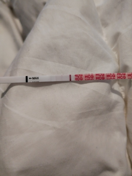 Line eyes 7 dpo pos