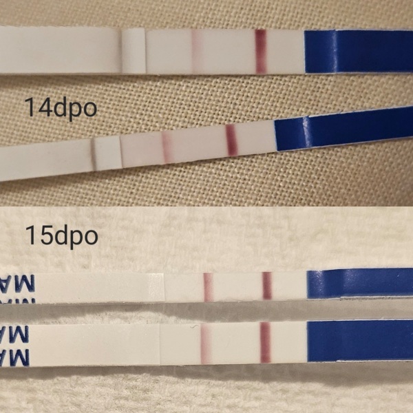 TTC May 2023 💖 Previous MC March 2023 (thread 3)