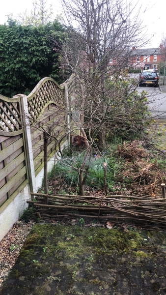 What have you done in the garden today Part 4 Spring 2024.