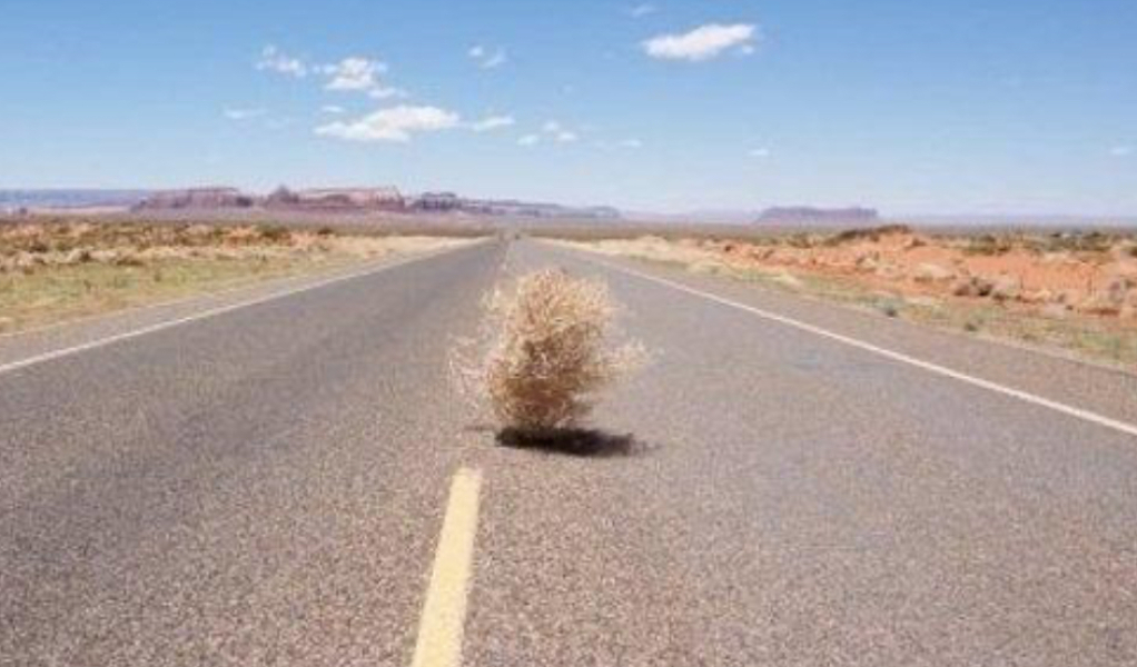 To think that unless the leaders in this country stand up to this sht, women and children’s rights are totally fcked?