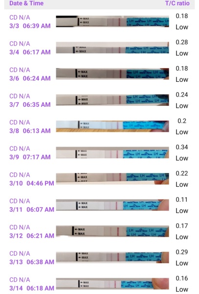 20 months breastfeeding, no period, eternal low LH readings