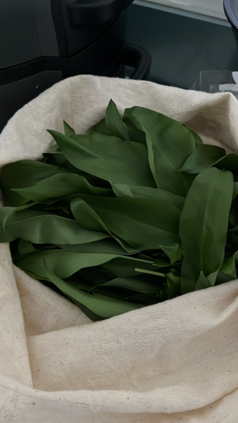 Any Witches here? Part 20